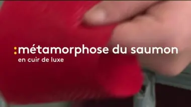 Émission du mercredi 30 octobre 2019