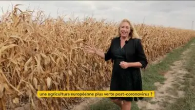 Émission du samedi 24 octobre 2020