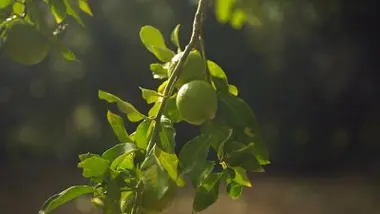 Émission du vendredi 13 mars 2026