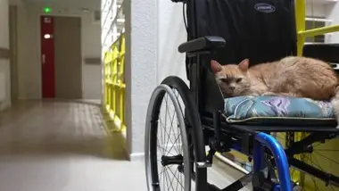 Émission du vendredi 20 mars 2026