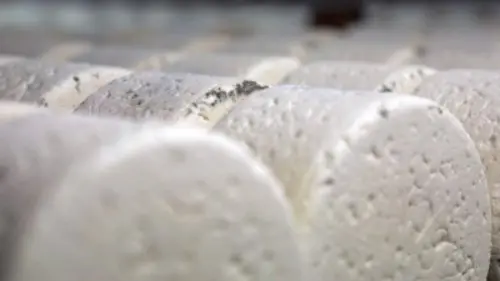 Invitation au voyage