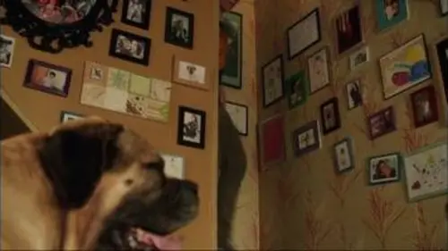 replay de En famille : PUPUCE A GERBE