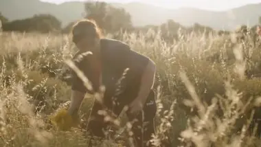 En quête d’Immortelles