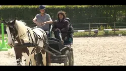 Au galop ! En voiture !