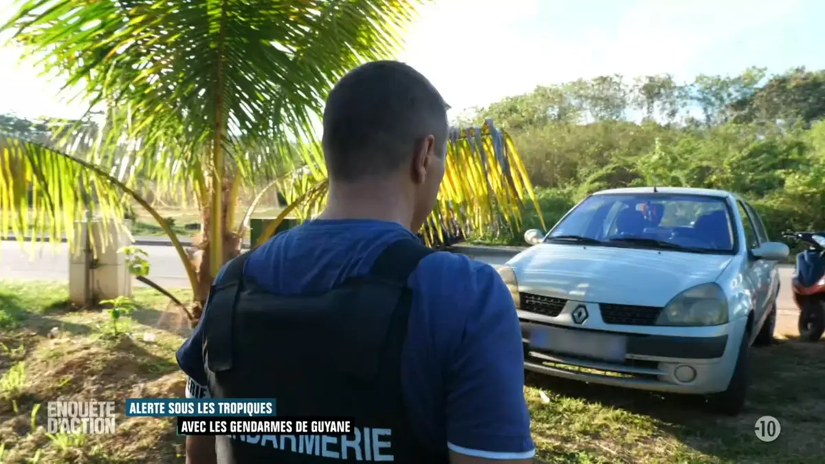 Enquête d'action : Alerte sous les tropiques :…