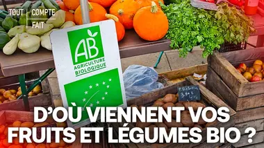 ENQUÊTE : D’où viennent RÉELLEMENT vos fruits et légumes bio ? – Tout Compte Fait