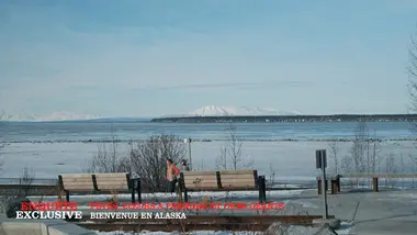 Enquête exclusive : Fêtes, cœurs à prendre et ours géants : bienvenue en Alaska