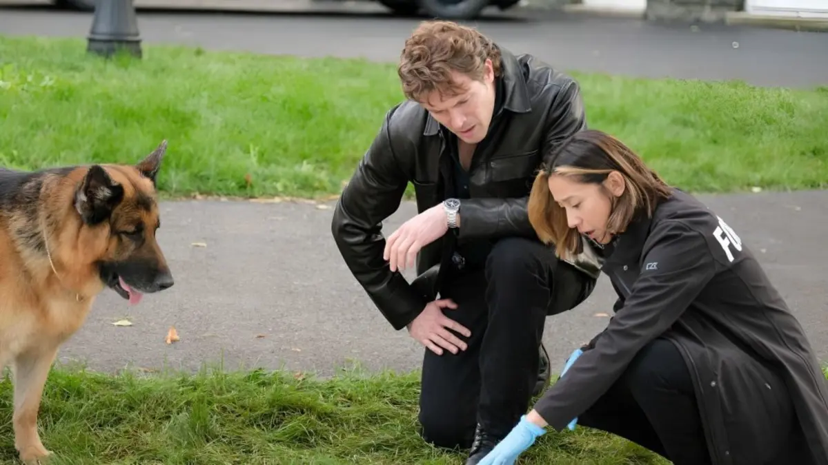 replay de Enquête incisive