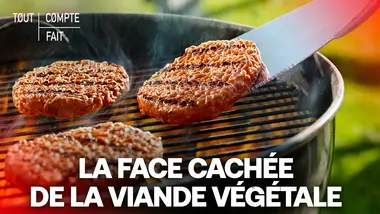 ENQUÊTE : La VERITÉ sur la viande VÉGÉTALE - Tout Compte Fait