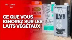 ENQUÊTE : Peut-on vraiment remplacer le lait de vache par du lait végétal ? - Tout Compte Fait