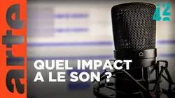 Entendons-nous tous pareil ? | 42, la réponse à presque tout | ARTE