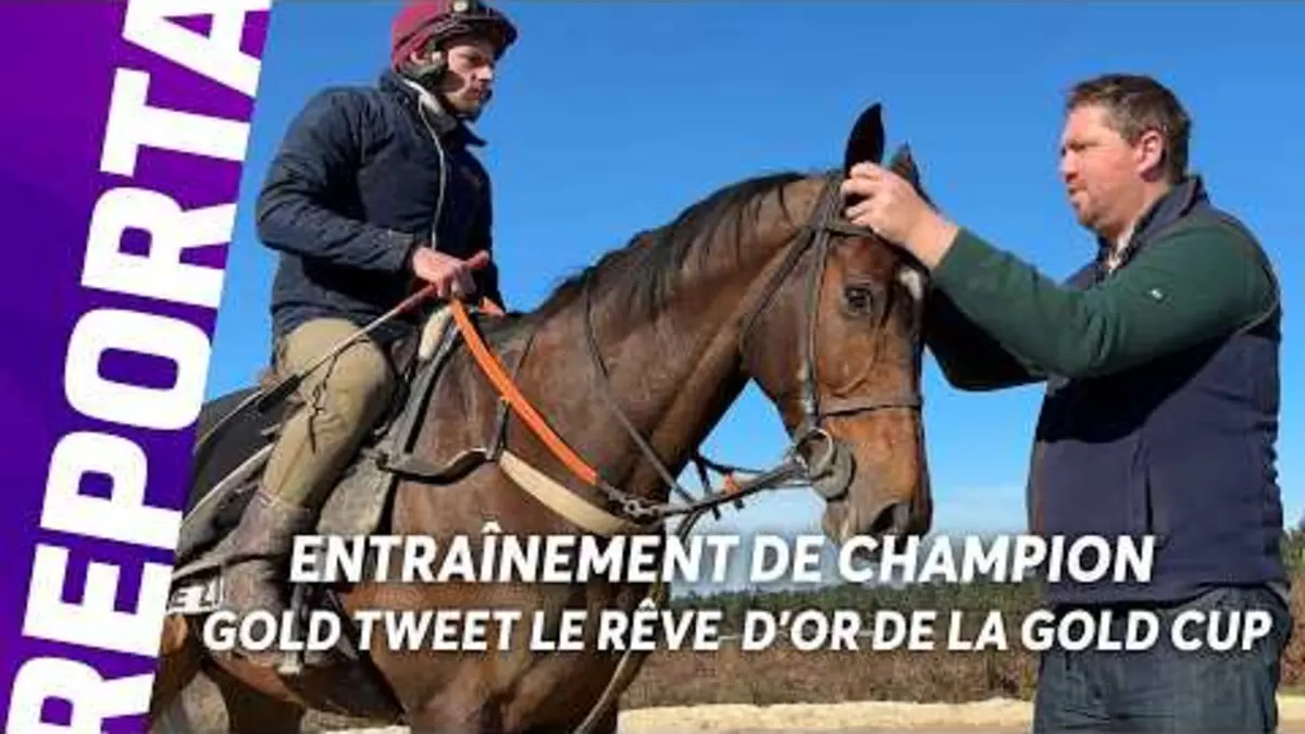 ENTRAÎNEMENT DE CHAMPION - GOLD TWEET LE RÊVE…