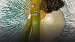 Entrée autour du vinaigre à Bouteville