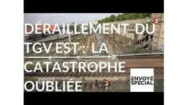 Envoyé spécial. Déraillement du TGV Est : la catastrophe oubliée - 9 nov. 2017 (France 2)