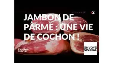 Envoyé spécial. Jambon de Parme, une vie de cochon ! - 27 juin 2019 (France 2)