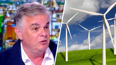 Éoliennes : "Le gouvernement pique des milliards d'euros aux Français !" (Alexandre Jardin)