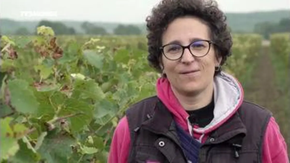 replay de Épicerie fine : Le Chinonais