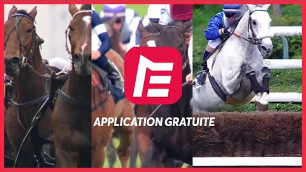 Top courses replay du 17/11/2020 : EQUIDIA 100% GRATUIT | Préparez vos