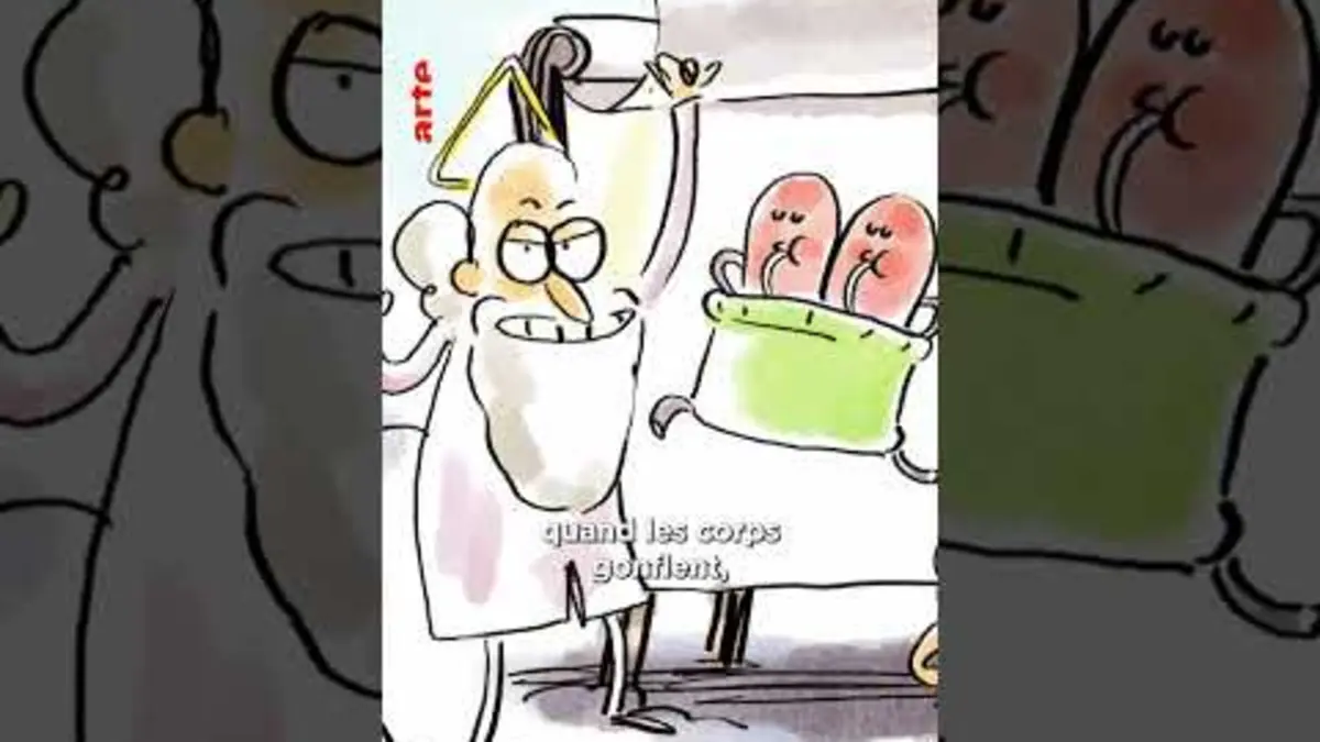 replay de Et Dieu créa la teub ? #humour #reproduction
