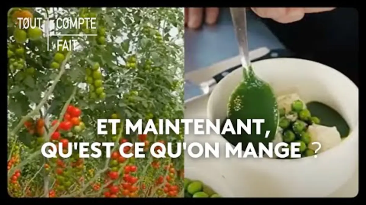 replay de Et maintenant, qu'est ce qu'on mange ?