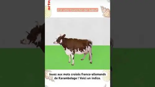 replay de (Extrait) Hamburger - Karambolage - ARTE