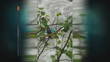 Face aux éléments : S2 E10