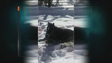 Face aux éléments : S2 E12