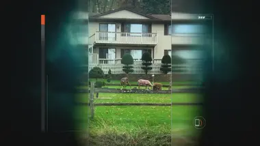 Face aux éléments : S2 E4