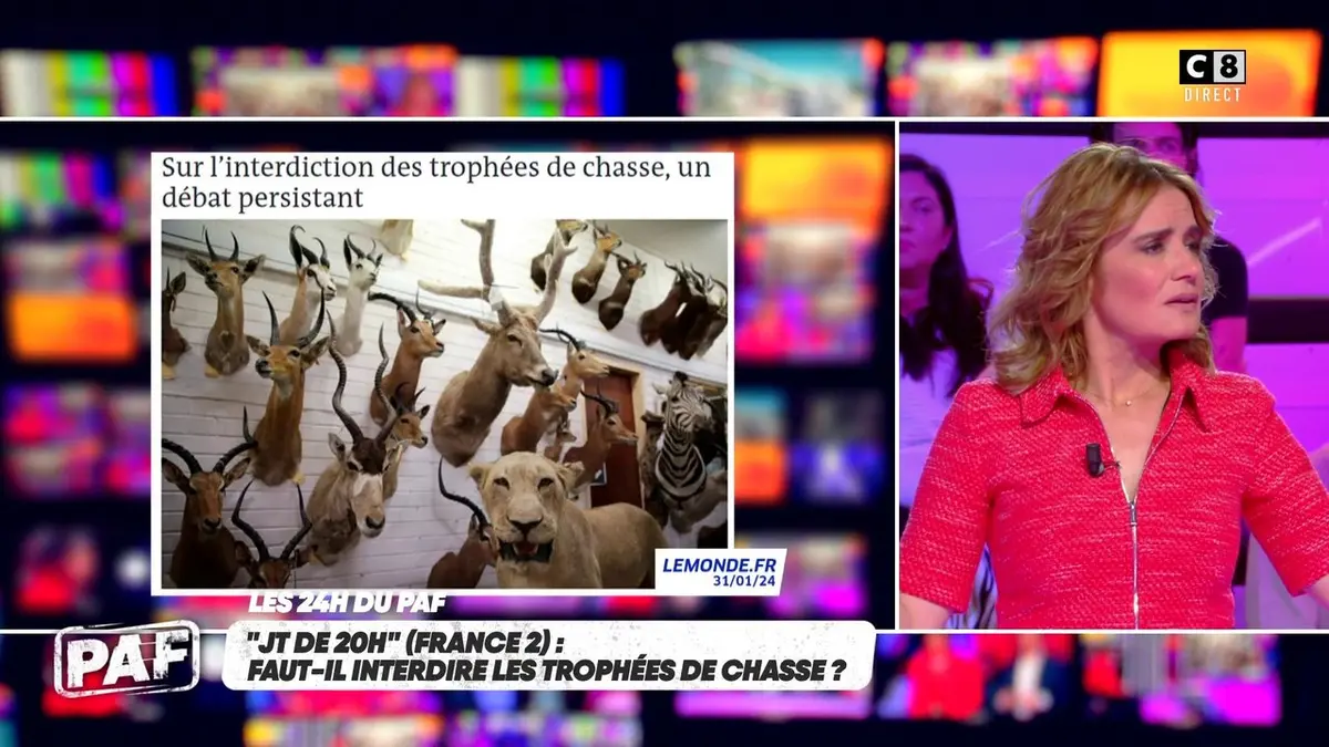 replay de Faut-il interdire les trophées de chasse ?