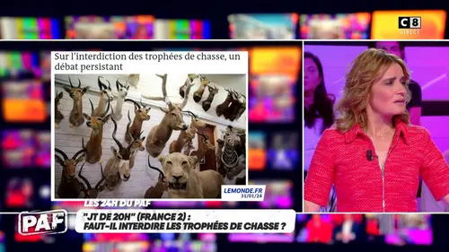 replay de Faut-il interdire les trophées de chasse ?