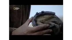 Ferrer un cheval à la manière des Kazakhs de Mongolie