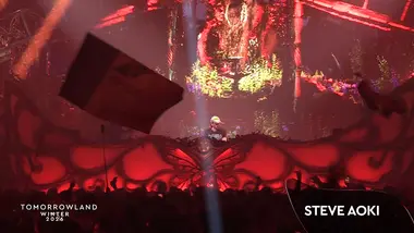 Festival Tomorrowland : Steve Aoki