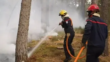Fontainebleau : comment stopper le feu... et les pyromanes