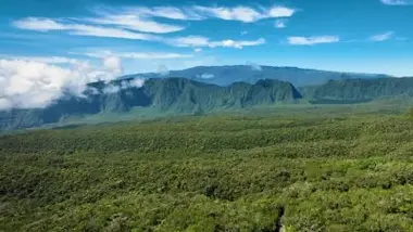 Forêts des outre-mer : Le grand inventaire