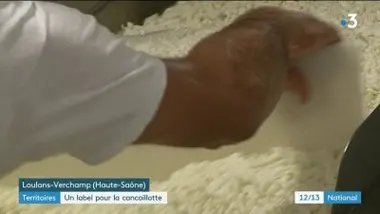 Franche Comté : bientôt un label pour la cancoillotte, le fromage de la région