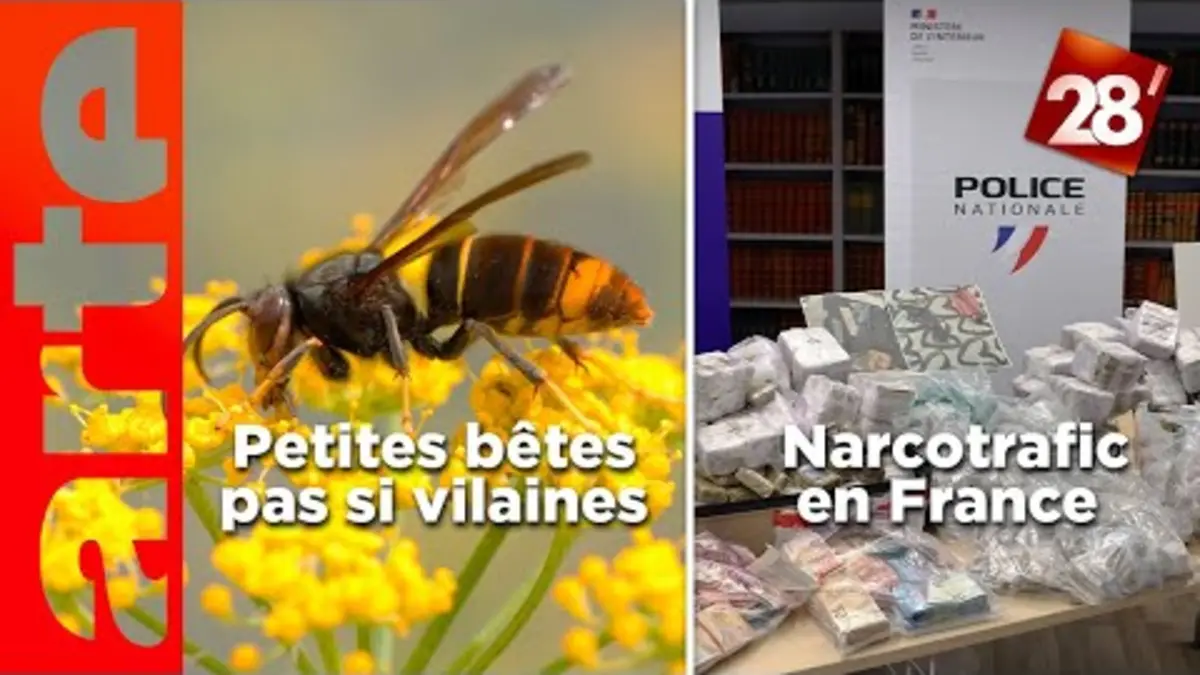 replay de François Lasserre / Narcotrafic : la France est-elle à un "point de bascule" ? | 28 minutes | ARTE