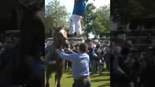 replay de FRANKIE DETTORI WINS FOR THE KING AND THE QUEEN ?