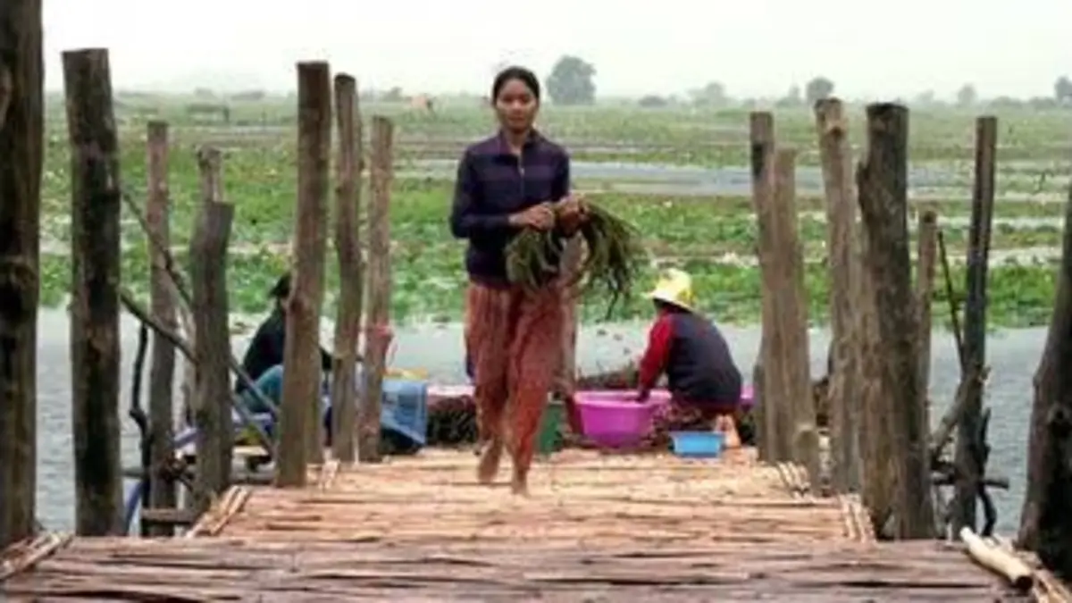 replay de Futuremag - Lotus / Soies d'araignée / Douche sans fin