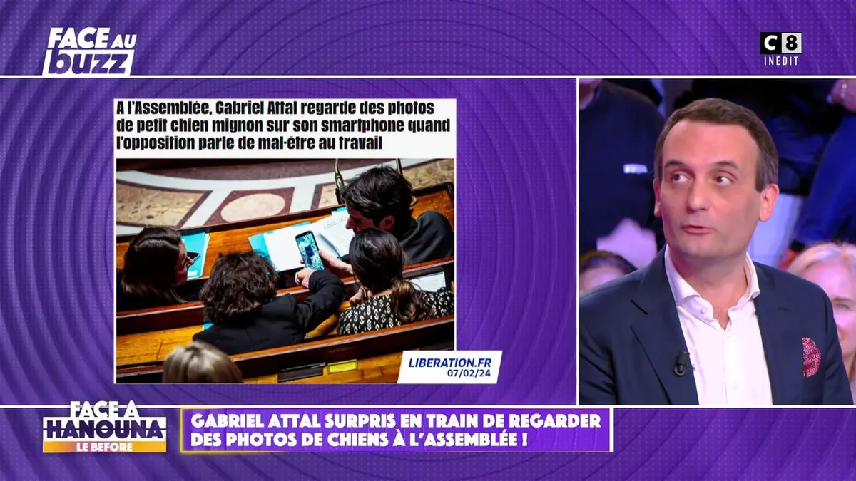 replay de Gabriel Attal surpris en train de regarder des photos de chiens à l'Assemblée