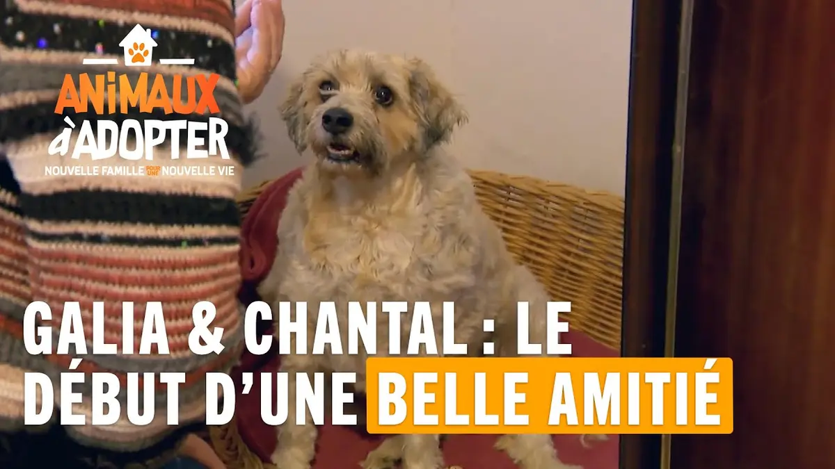 replay de Galia & Chantal : Le début d'une belle amitié