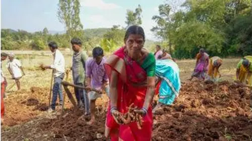 replay de GEO Reportage - Curcuma, une épice en or
