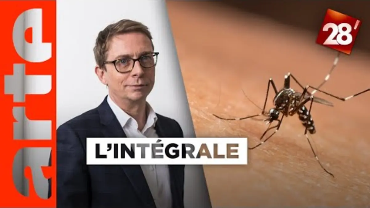 replay de Gérald Bronner / Moustiques : la France doit-elle leur déclarer la guerre ? | 28 minutes | ARTE