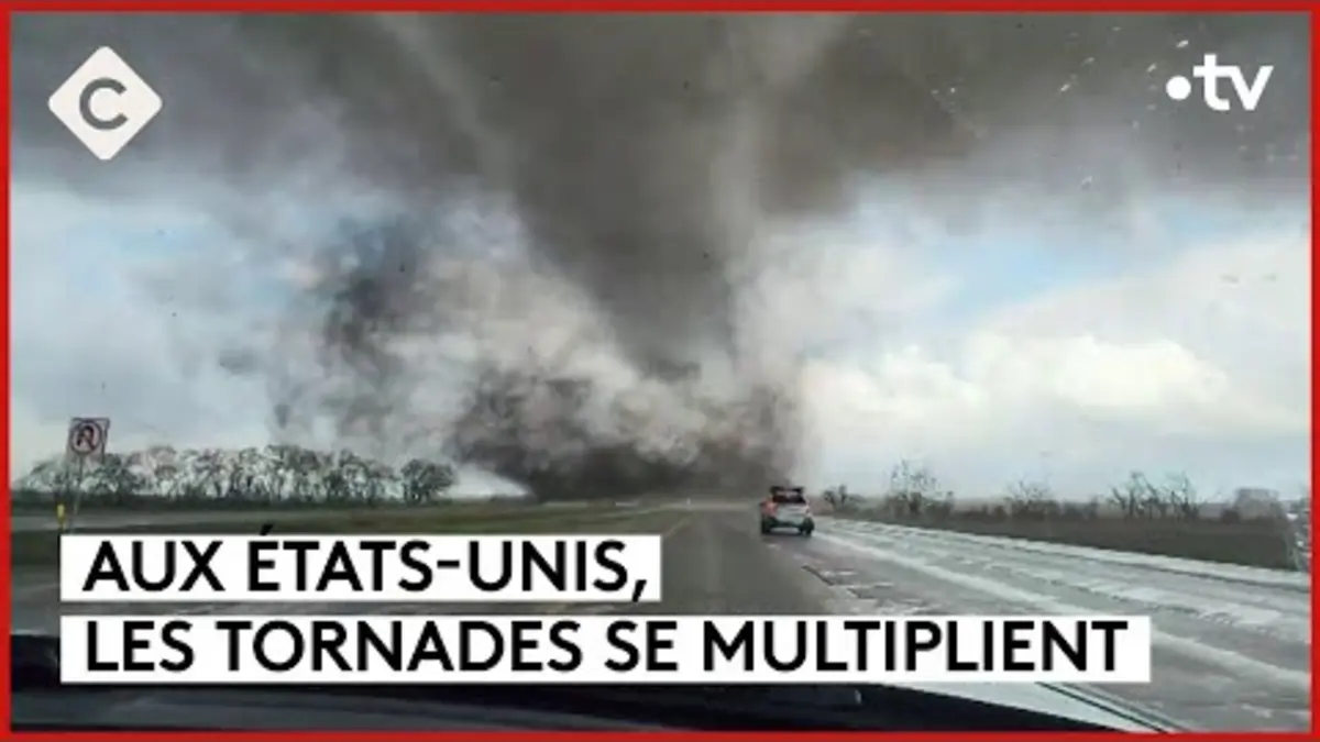 replay de Gérard Depardieu en garde à vue, tornades aux États-Unis - Le 5/5 - C à Vous - 29/04/2024