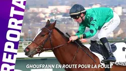 GHOUFRANN, LA SURPRISE DE LA POULE D'ESSAI DES POULICHES ? | REPORTAGE AVEC HEDI GHABRI