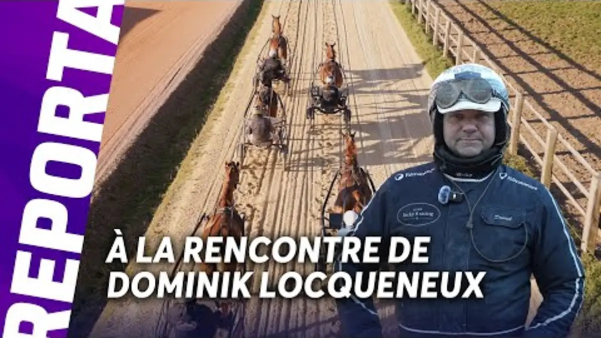 replay de GNT À SALON DE PROVENCE : LES ATOUTS DE DOMINIK LOCQUENEUX