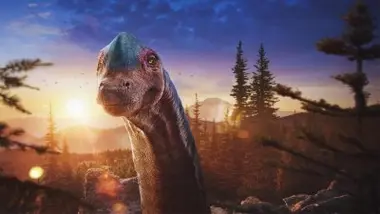 Grandé, le vieux géant solitaire