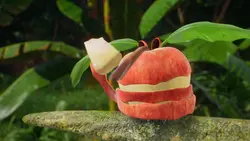 Végétosaures S01E18 Gratte Gratte