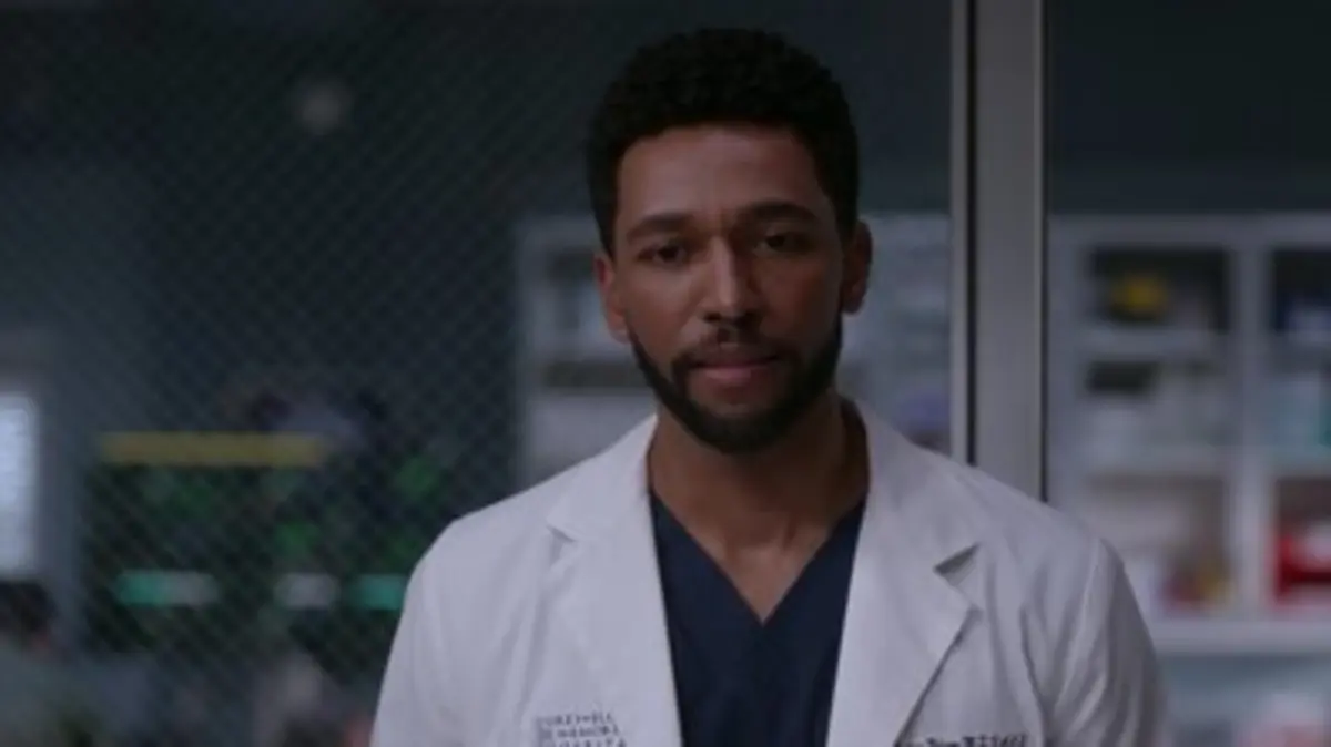 Grey's anatomy - S19 E15 - Caractères…