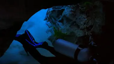 H2O : La science attaque