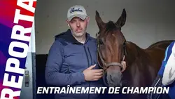 HARMONY DU RABUTIN, LA BELLE HISTOIRE DE CE PRIX D'AMÉRIQUE 2026 I Reportage Prix d'Amérique